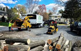  Contra Costa Centre, CA Tree Services Pros